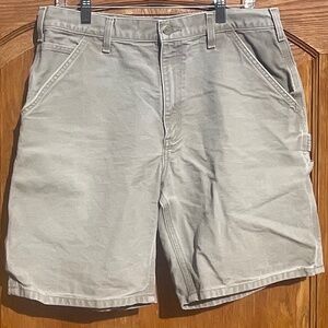 GUC CARHARTT (Men’s) Shorts (Size 34)